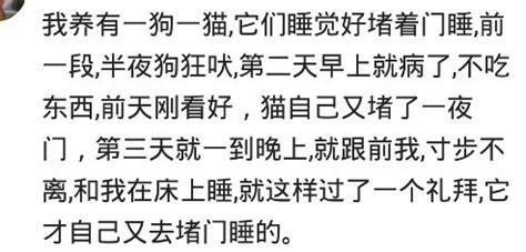 夢到很多屍體|【夢 屍體】夢到屍體竟是好兆頭？六種夢境代表「喜事臨門」